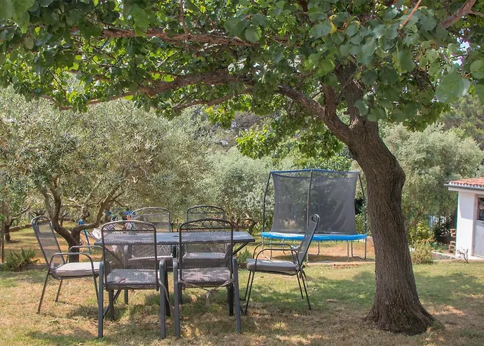 Apartment Olea *