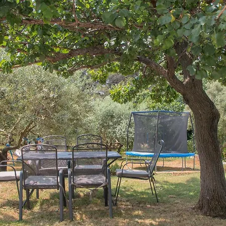 Apartment Olea *